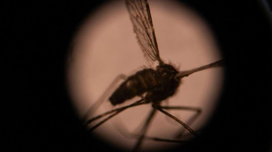 WHO empfiehlt breiten Einsatz von erstem Malaria-Impfstoff bei Kindern in Afrika