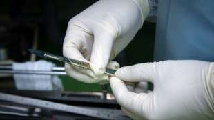 Chirurgen in Australien bringen Hände von Gelähmten wieder in Bewegung
