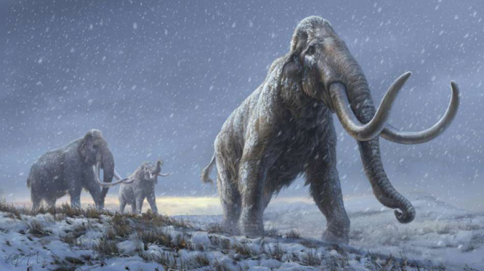 Forscher finden in Mammut-&Uuml;berresten Millionen Jahre alte DNA-Spuren