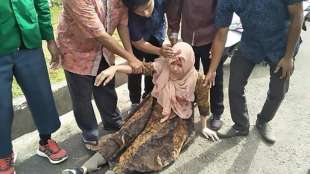 Mindestens 20 Tote bei Erdbeben in Indonesien