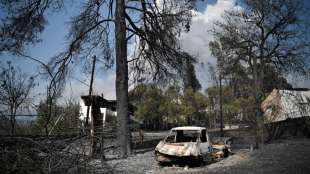 Einsatzkr&auml;fte k&auml;mpfen gegen Feuer vor den Toren Athens
