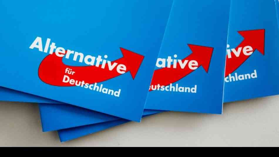 AfD-nahe Stiftung klagt auf finanzielle Unterstützung vom Bund