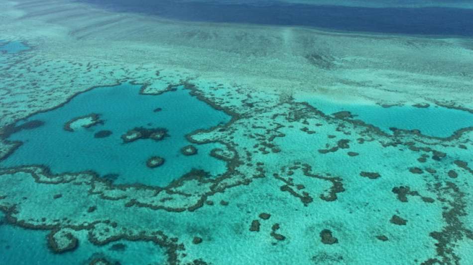 Striktere Gesetze in Australien zum Schutz des Great Barrier Reef verabschiedet