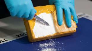 Polizei und Zoll finden im Hamburger Hafen weitere 700 Kilogramm Kokain