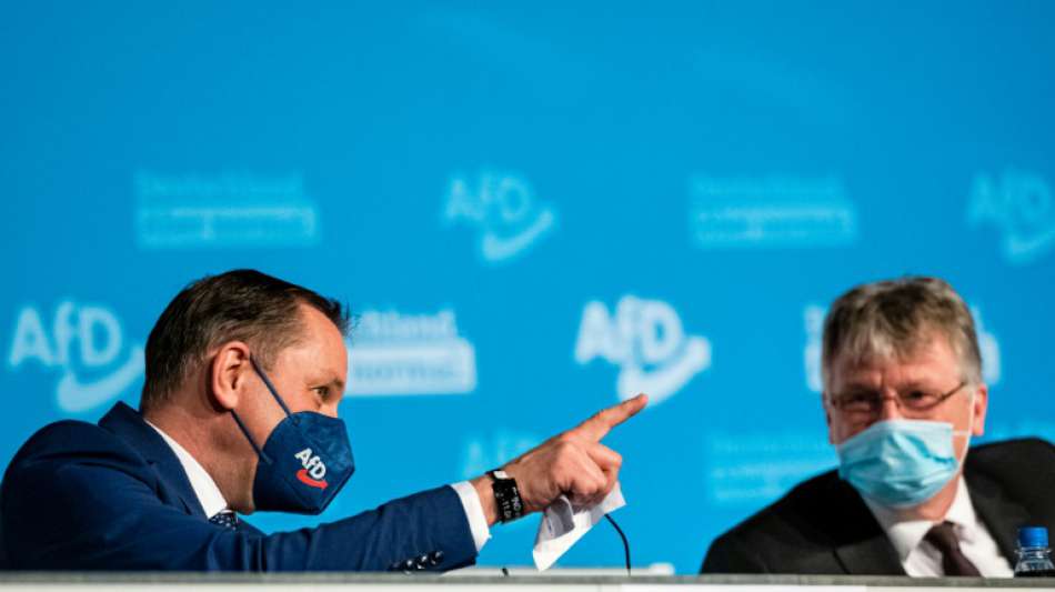 AfD fordert Ende des Corona-Lockdowns und EU-Austritt Deutschlands