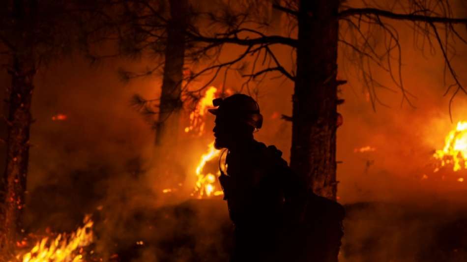 Tausende Hektar Wald durch Feuer in US-Bundesstaat Oregon zerst&ouml;rt