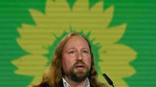 Hofreiter nennt Union und SPD in Klimapolitik "heuchlerisch"