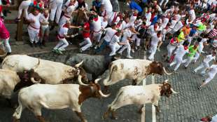 Regionalregierung: Stiertreiben in Pamplona kann auch dieses Jahr nicht stattfinden