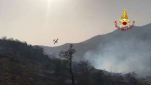 Zusätzlich zu Waldbränden nun auch noch Rekordhitze in Italien erwartet