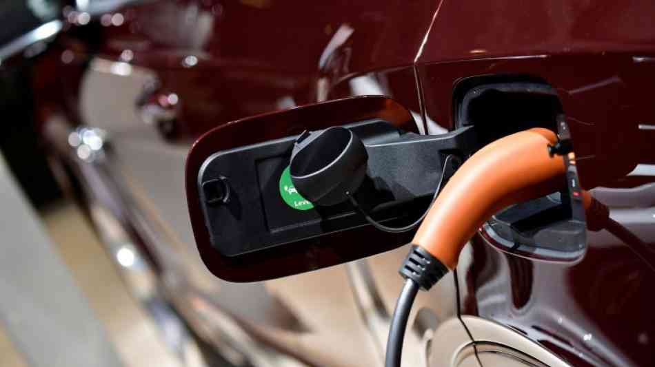 Verbraucherschützer fordern Verlängerung der Kaufprämie für Elektroautos
