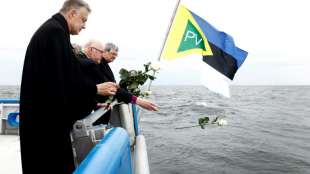 Neue Untersuchung zur Ursache des "MS Estonia"-Untergangs begonnen