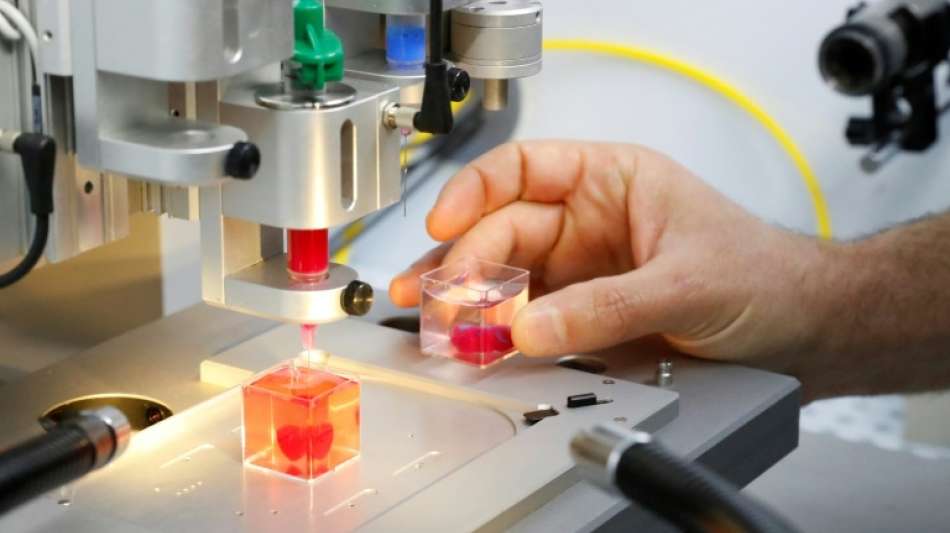 Forscher in Israel stellen erstmals Herz aus menschlichem Gewebe im 3D-Drucker her