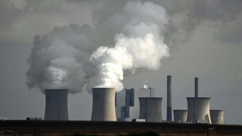 Kohle wichtigster Energieträger für Stromerzeugung im ersten Halbjahr 2021