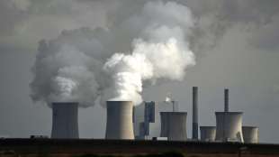 Kohle wichtigster Energieträger für Stromerzeugung im ersten Halbjahr 2021