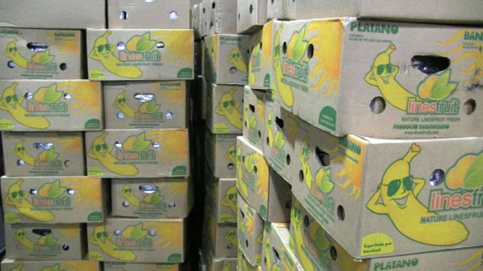 Neues Rekordjahr für Kokain-Funde am Antwerpener Hafen