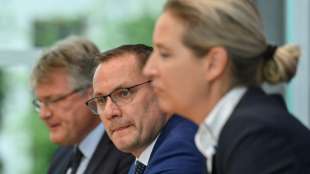 Konflikte in der AfD-Spitze nach Bundestagswahl