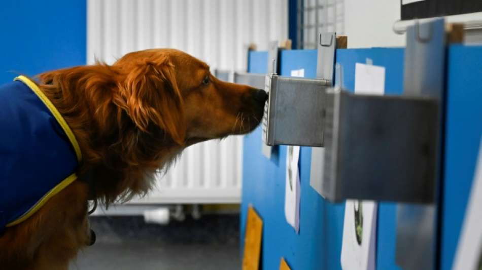 "Pokaa" ist Frankreichs erster Corona-Sp&uuml;rhund in einem Altenheim