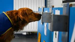 "Pokaa" ist Frankreichs erster Corona-Sp&uuml;rhund in einem Altenheim