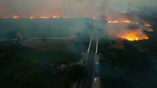 Brände bedrohen riesiges Sumpfgebiet in Brasilien