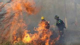 Durch zahlreiche Feuer in Bolivien schon 471.000 Hektar Land zerstört