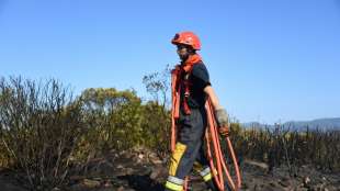 Feuerwalze bei Saint-Tropez vorerst gestoppt