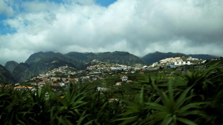 Portugal: Zwölf Tote durch umstürzende Eiche auf Insel Madeira