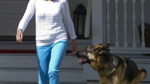 Joe Bidens Sch&auml;ferhund Champ ist tot