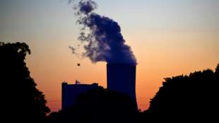 Kohle wichtigster Energieträger für Stromerzeugung im ersten Quartal