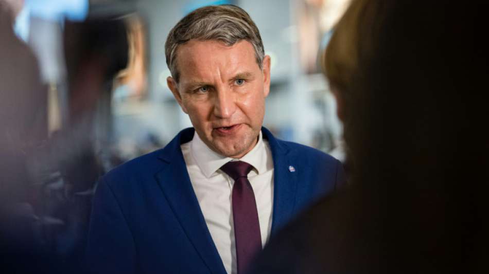 Höcke setzt sich mit Wiedereinsetzung Hartwigs auf Parteitag gegen Meuthen durch