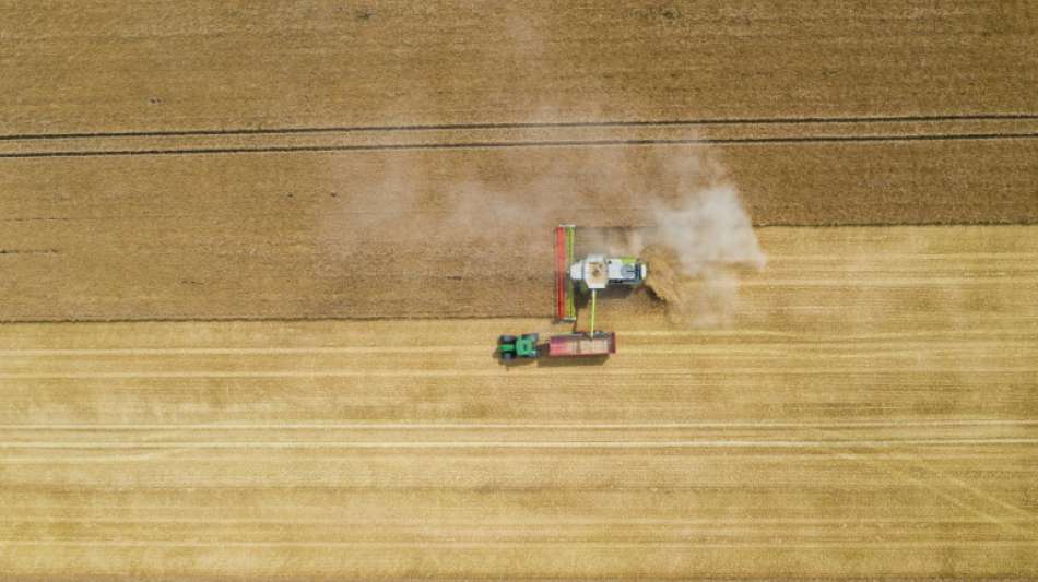 Grünen-Fraktionschef Hofreiter fordert von Klöckner umfassende Ackerbaustrategie