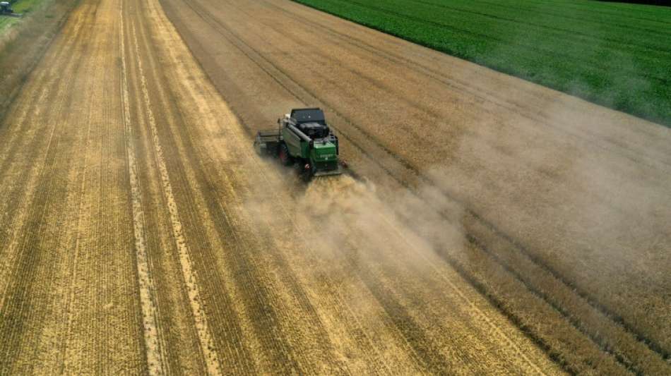 Experten werben für mehr Hecken für Klimaschutz
