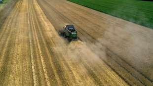 Experten werben f&uuml;r mehr Hecken f&uuml;r Klimaschutz