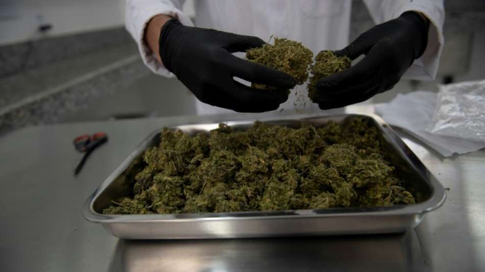 Cannabis-Anbieter Cantourage aus Berlin bereitet Börsengang vor