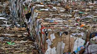 Menge an Haushaltsabfall w&auml;hrend Corona-Pandemie um vier Prozent gestiegen