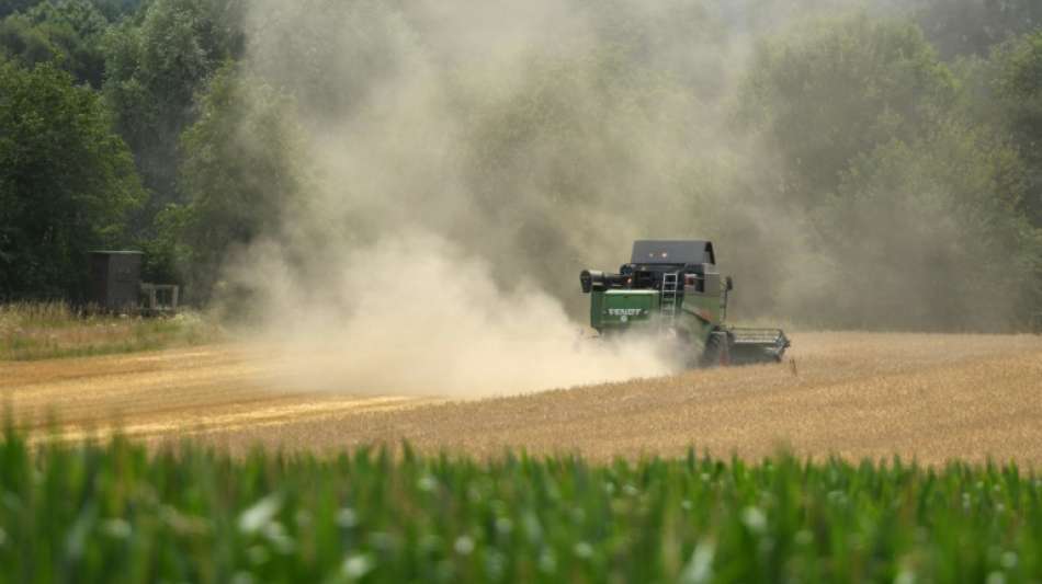 Experten sehen in Landwirtschaft großes Potenzial zur Emissionssenkung