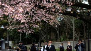 Philip Morris will in zehn Jahren keine Zigaretten mehr in Japan verkaufen 