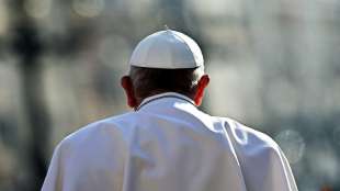Papst Franziskus fordert größere Anstrengungen im Kampf gegen den Klimawandel