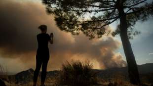 Feuerwehrmann stirbt bei Kampf gegen Waldbrand in S&uuml;dspanien