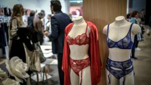 Schlüpfrige Post für Frankreichs Premier