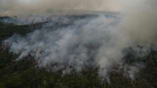 Brasiliens gr&ouml;&szlig;te Firmen dr&auml;ngen Regierung zu mehr Einsatz f&uuml;r Klimaschutz