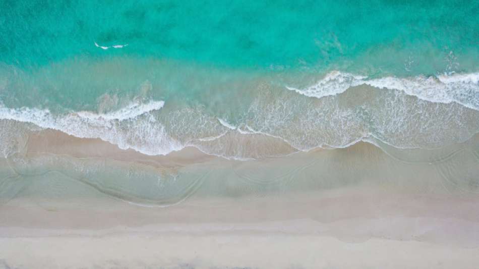 Internationales Forscherteam untersucht Tierlaute im Ozean während Corona-Krise