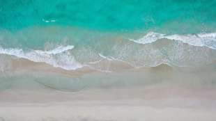 Internationales Forscherteam untersucht Tierlaute im Ozean während Corona-Krise