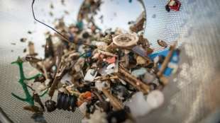 Studie: Menschen nehmen unfreiwillig große Mengen Mikroplastik zu sich