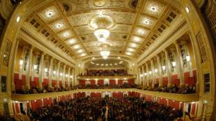 Sexspielzeug sorgt für Bombenalarm im Wiener Konzerthaus