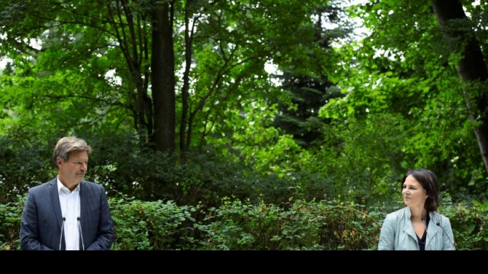 Grüne wollen Klimaschutzministerium mit Vetorecht gegenüber anderen Ressorts