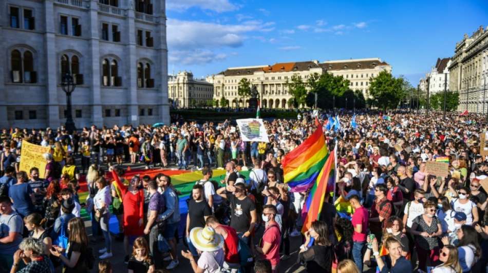 Proteste gegen geplantes Verbot von "Werbung" f&uuml;r Homosexualit&auml;t in Ungarn