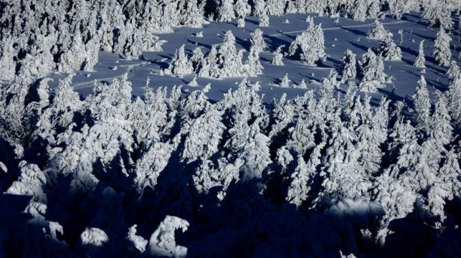 Grünen-Spitze bekennt sich im Grundsatz zu Einfamilienhaus