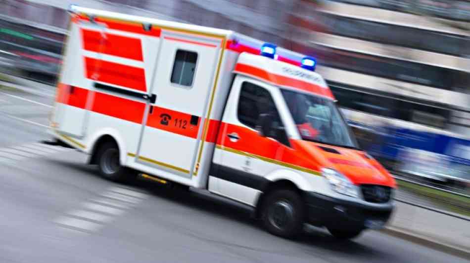 Hund zerreißt Zweijährigem in Hameln die Wange