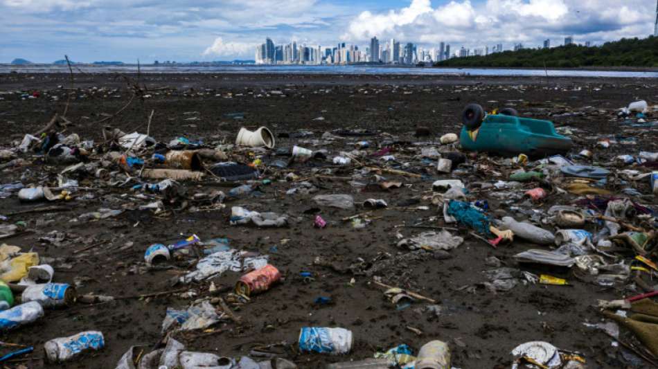 Bündnis: Wenige Großkonzerne für großen Teil des Plastikmülls weltweit verantwortlich