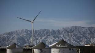 UNO: 2021 entscheidend im Kampf gegen den Klimawandel